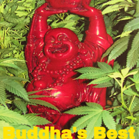 buddha's best weed/marijuana