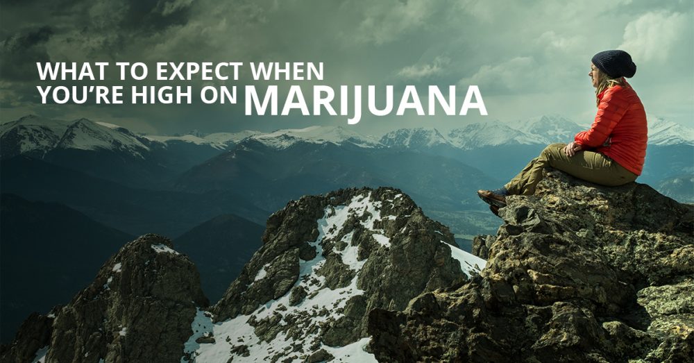 Effects of Marijuana