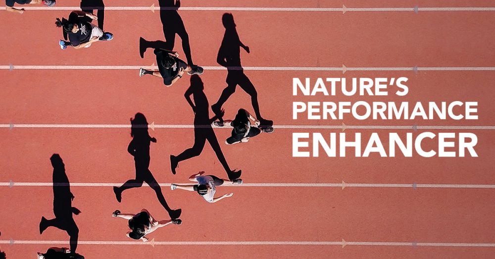 Natural performance enhancers