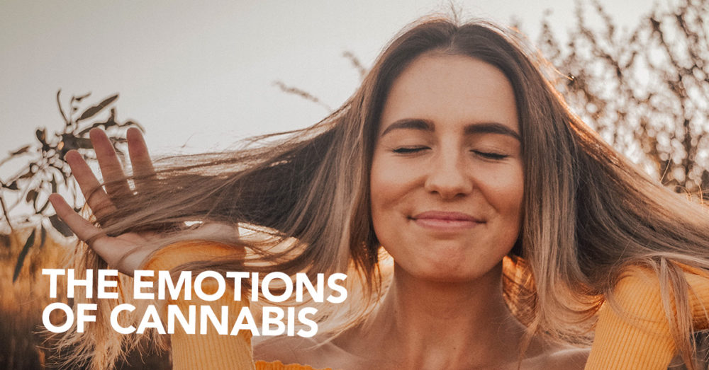 Emotions of Cannabis