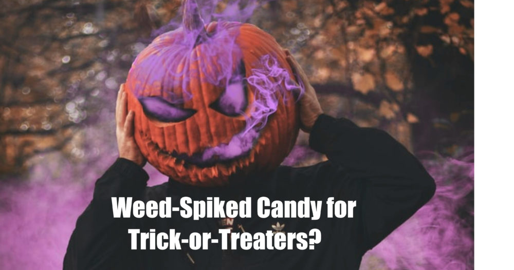 Halloween marijuana treats?