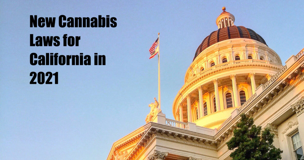 new california marijuana laws